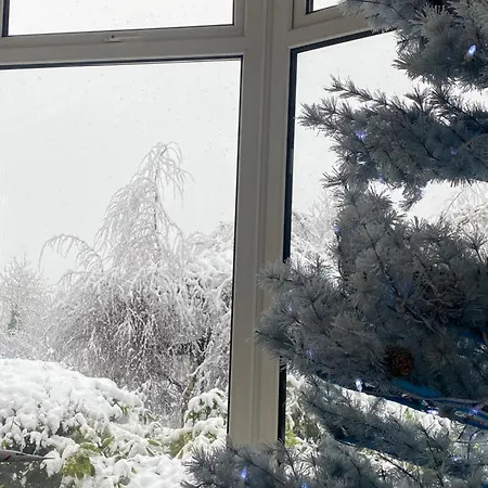 住宿加早餐酒店 Winterwood