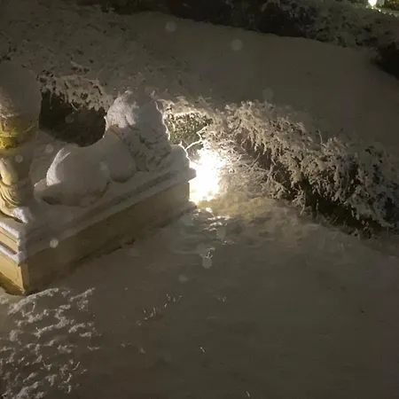 Winterwood 住宿加早餐酒店 *