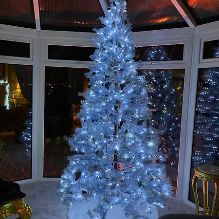 Winterwood 住宿加早餐酒店