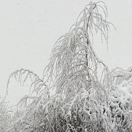 Winterwood 住宿加早餐酒店 *