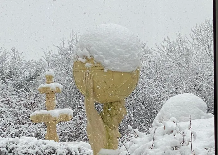 Winterwood Bed & Breakfast *