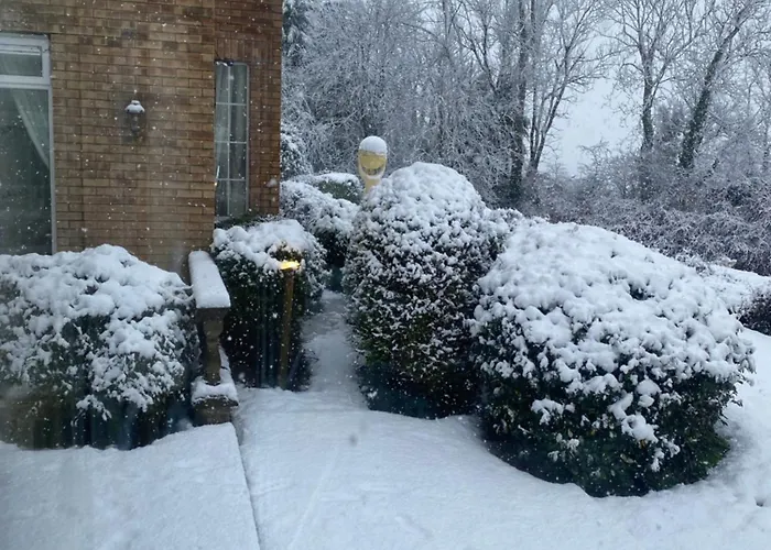 Bed & Breakfast Winterwood *