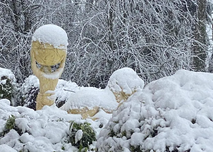 Winterwood * Listowel